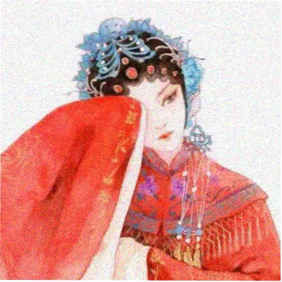 观众木白的头像